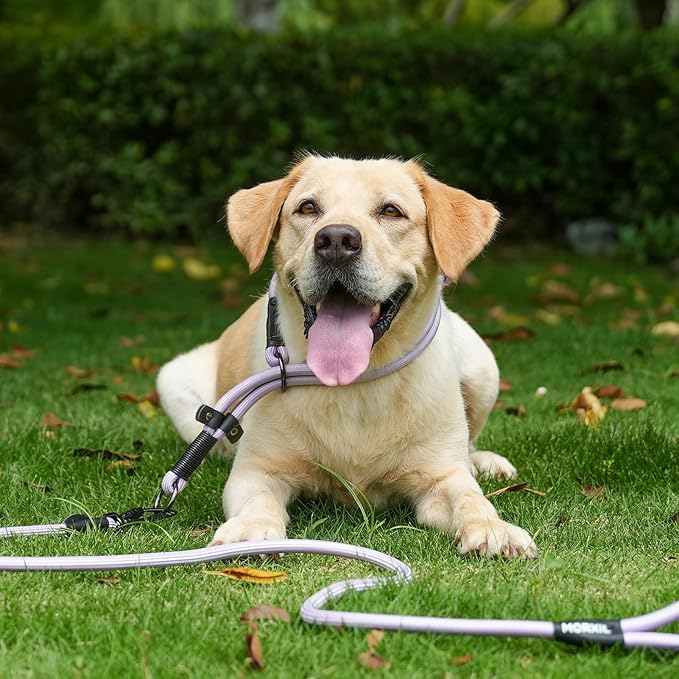 Rope Dog Leash, 4 ft Heavy Duty Dog Leash with Aviation Aluminum Auto Locking Carabiner, Strong Nylon Pet Lead for Small, Medium, Large Dogs (Navy Blue, 4FT)