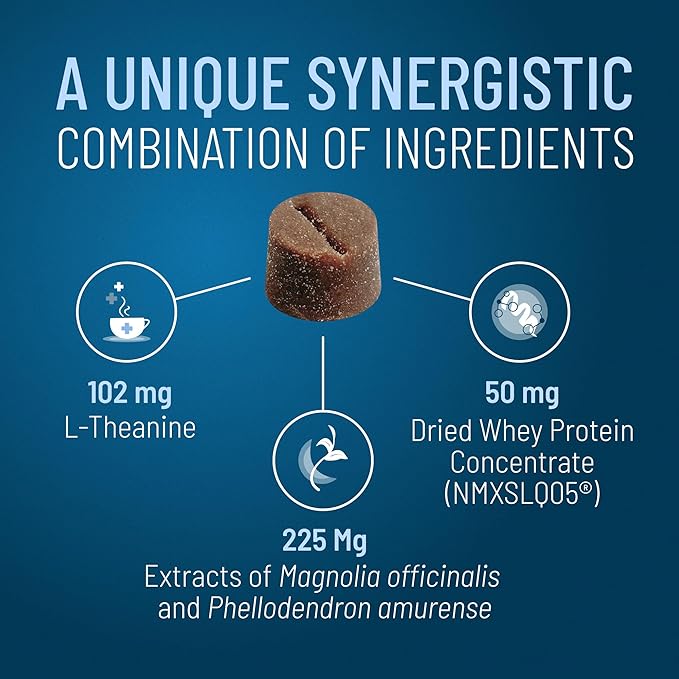 Nutramax Solliquin Calming Behavioral Health Supplement for Large Dogs - with L-Theanine, Magnolia/Phellodendron, and Whey Protein Concentrate, 75 Soft Chews