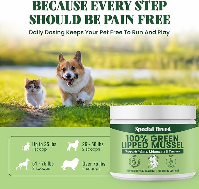 Green Lipped Mussel Powder for Dogs & Cats - 100% New Zealand Green Lipped Mussels - Natural Hip & Joint Supplement for Joints, Tendons, Ligaments, Muscles - 150 Grams - Up to 500 Servings
