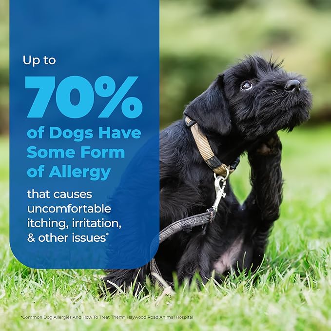 Vetnique Dermabliss Anti Itch Spray for Dogs & Cats with Hydrocortisone for Allergies and Immediate Dog Itching Skin Relief - Fragrance Free with Soothing Oat Extract (4oz)