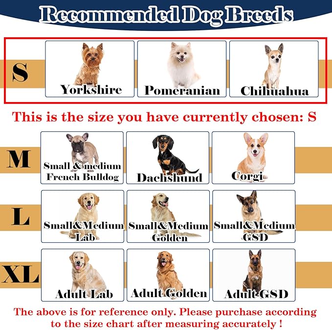 Hard & Heavy Plastic Dog Cone Collar Alternative for Small Dogs (Yorkshire Pomeranian) After Surgery, Adjustable Recovery Cone Anti-Lick, Elizabethan Protective Collar Cone of Shame for Healing