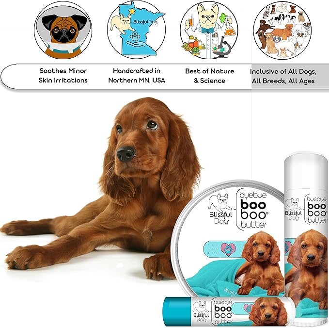 The Blissful Dog Irish Setter Boo Boo Butter, 8 Ounce