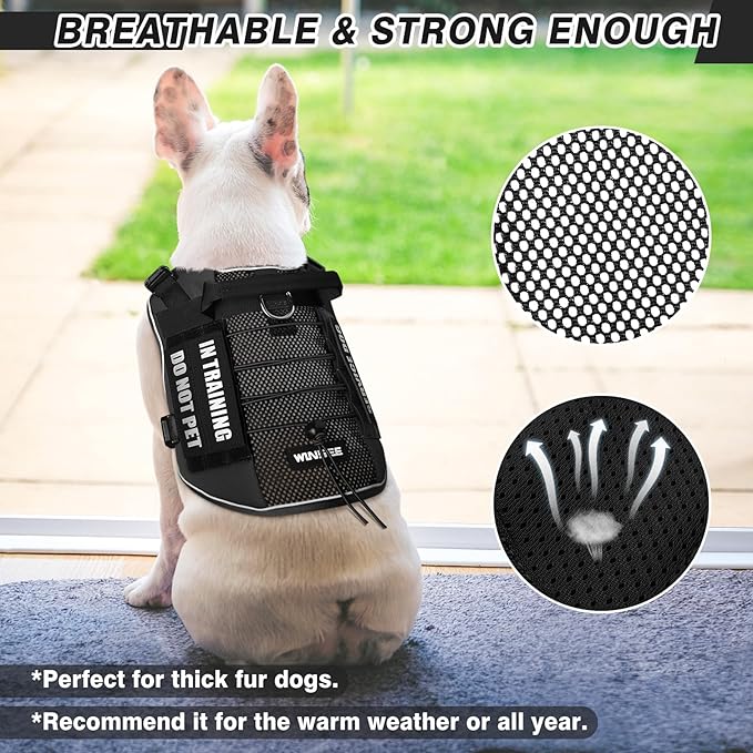 WINSEE Service Dog in Training Mesh Harness with 10 Pet Patches for Medium Dogs, Soft Air Mesh Breathable Tactical Dog Molle Vest, Reflective Military Pet Vest for Walking Hiking