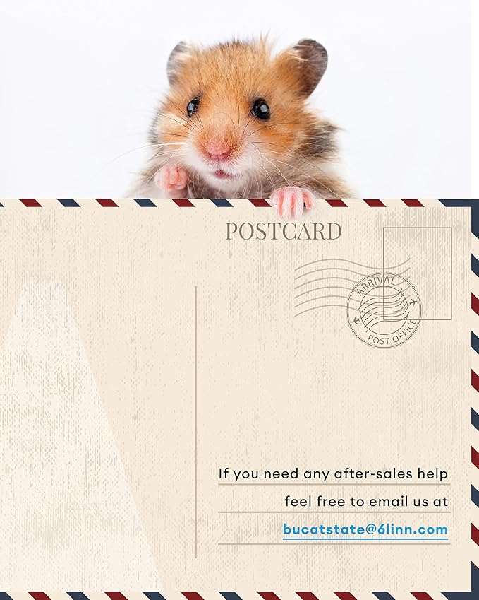 BUCATSTATE Hamster Cage Metal 3.0 - Chewproof Large Rat Cage Stackable with Top Access Easy Assemble 47L x 23.6W x 25.5H Inches Dwarf Syrian Hamster Tank for Gerbil Mouse (7.75 ft², Black)