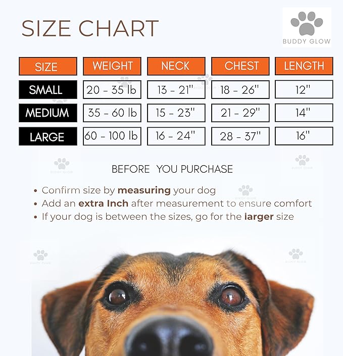 Reflective Dog Vest – Fluorescent Orange | High-Visibility, Water-Resistant Safety Jacket with Adjustable Fit for Day & Night Walks, Hiking, Hunting, and Outdoor Use (Large)