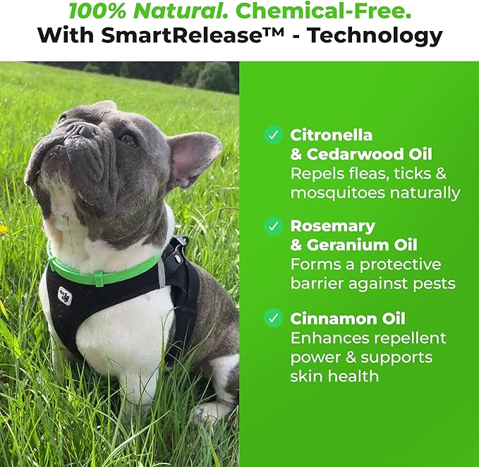 FurLife Flea and Tick Collar for Dogs – Waterproof Green Dog Collar, Pet Supplies for Tick and Flea Prevention for Dogs, Safe for All Breeds