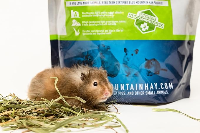Blue Mountain Hay | Fresh Timothy Hay (25 Pounds) | Great for All Ages | High-Altitude Hay Pet Food for Rabbits, Guinea Pigs, Chinchillas, Hamsters, and Other Small Pets