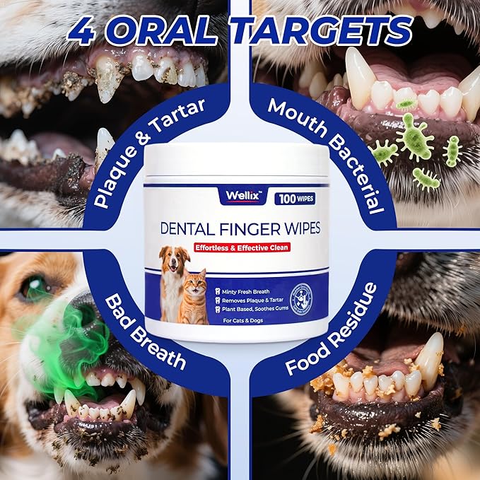 Wellix 100 Count Dog Teeth Cleaning Wipes for Dogs & Cats - Natural Formula Dental Care Finger Wipes Reduces Dog Plaque, Tartar & Bad Breath - No-Rinse Disposable Dog Dental Wipes