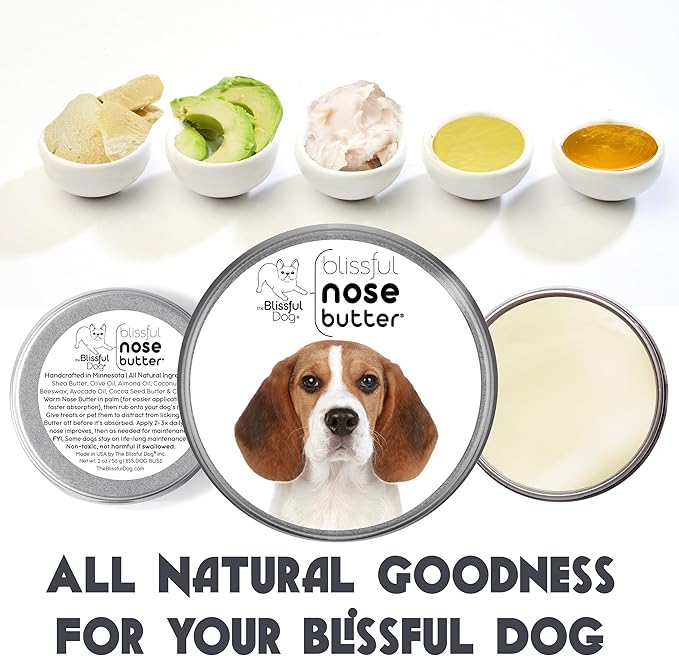 The Blissful Dog Beagle Nose Butter for Dry, Cracked Skin, Lick-Safe Dog Nose Balm with Moisturizing Shea Butter, Almond, Olive, and Essential Oils, Pet Supplies, Uncented, 1 oz.