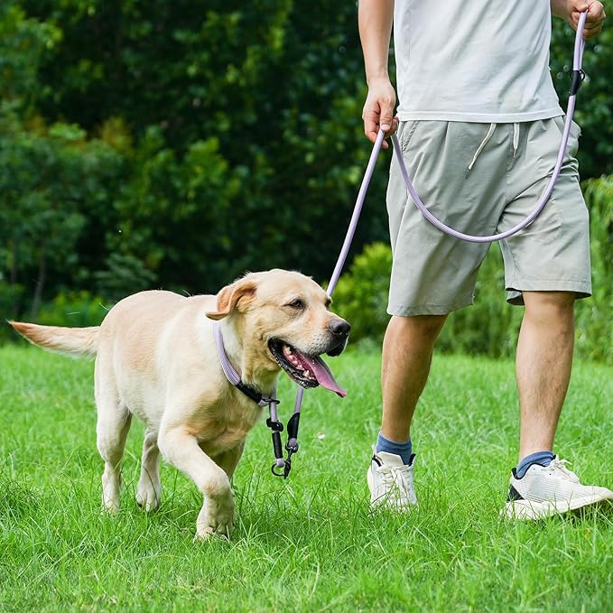 Rope Dog Leash with Two Handles, 6 Foot Heavy Duty Dog Leash with Aviation Aluminum Auto Locking Carabiner, Strong Nylon Pet Lead for Small, Medium, Large Dogs (Black, 6FT-Two Handle)