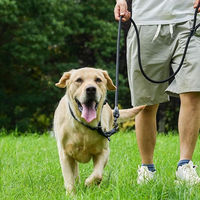 Rope Dog Leash with Two Handles, 6 Foot Heavy Duty Dog Leash with Aviation Aluminum Auto Locking Carabiner, Strong Nylon Pet Lead for Small, Medium, Large Dogs (Black, 6FT-Two Handle)