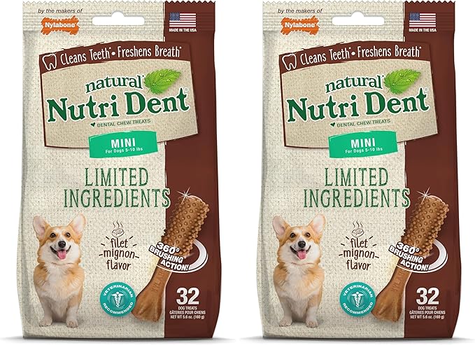 Nylabone Nutri Dent Dog Dental Chews - Natural Dog Teeth Cleaning & Breath Freshener - Dental Treats for Dogs - Filet Mignon Flavor, Mini (32 Count) (Pack of 2)