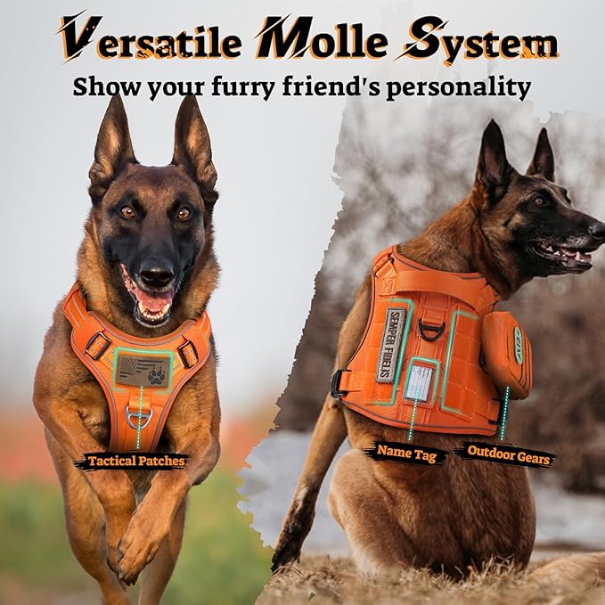 rabbitgoo Dog Harness Medium Sized No Pull, Tactical Service Pet Vest with Molle and Control Handle, Adjustable and Reflective Military Harness for Easy Walking and Training, Orange, M