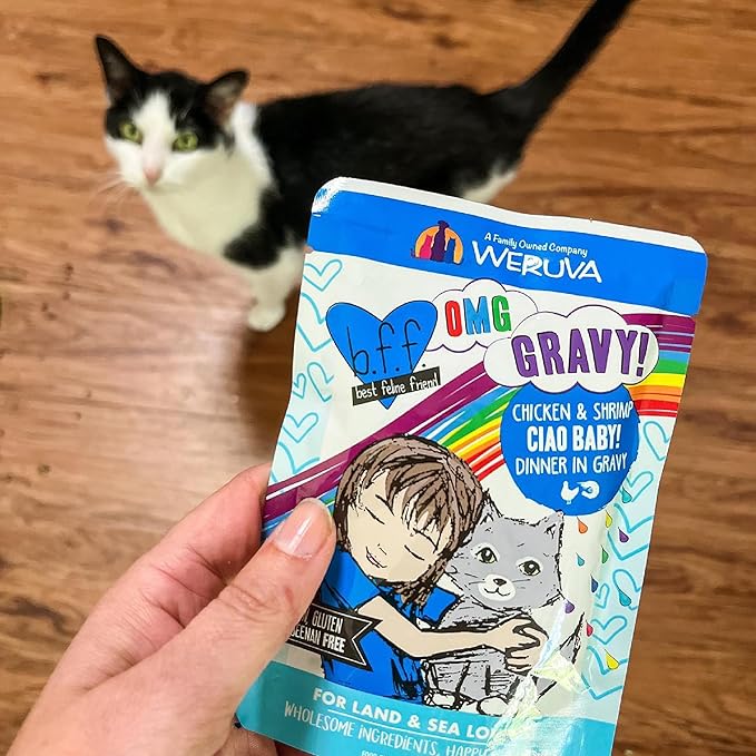 Weruva B.F.F. OMG - Best Feline Friend Oh My Gravy!, Tuna & Lamb Luv Ya with Tuna & Lamb in Gravy Cat Food, 3oz Pouch (Pack of 12)