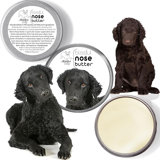 The Blissful Dog Curly Coat Retriever Unscented Nose Butter, 16oz