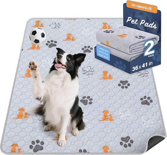 Washable Pee Pads for Dogs, 2 Pack Absorbent Reusable Training Dog Pads Pet Puppy Pads, Non-Slip Potty Pads for Whelping, Playpen, Crate, Bed, Orange, 36"x41"