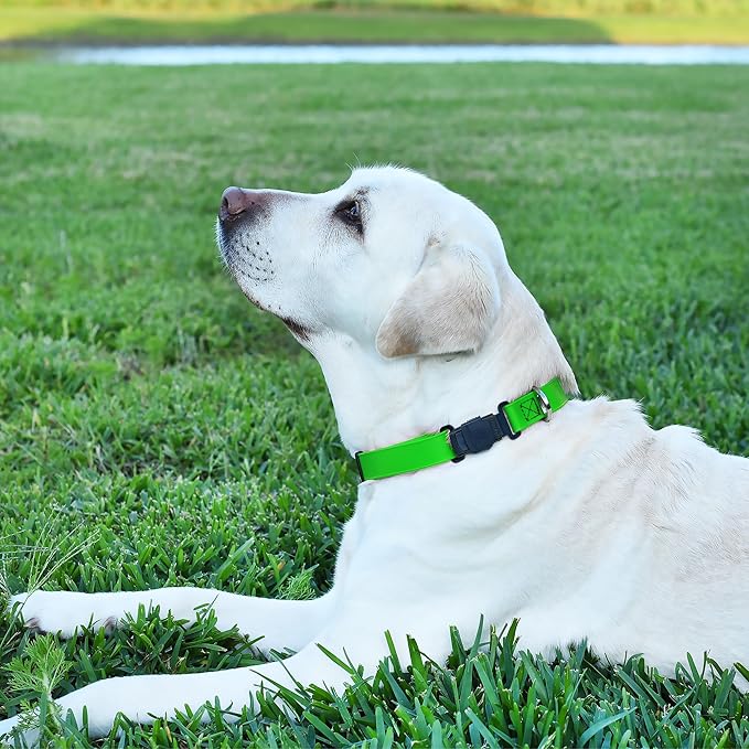 Dogline Biothane Waterproof Dog Collar with Herm Sprenger Black Stainless Steel Quick Release Buckle – Heavy Duty Tactical Durable Collar for Dogs – Comfortable and Safe Pet Collar W3/4" L12-19 Green