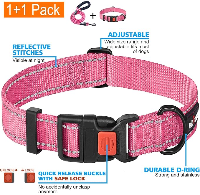 Heavy Duty Dog Leash - Comfortable Padded Handle, 5 ft Long - Dog Leashes for Small Medium Large Dogs (Leash+Collar L Neck 20"-25", Pink)