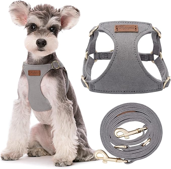 Puppytie No Pull Small Dog Harness with Multifunction Dog Leash,Lightweight Soft Adjustable No Choke Escape Proof Pet Harness Vest Pet Harness Vest,Silver Grey,S