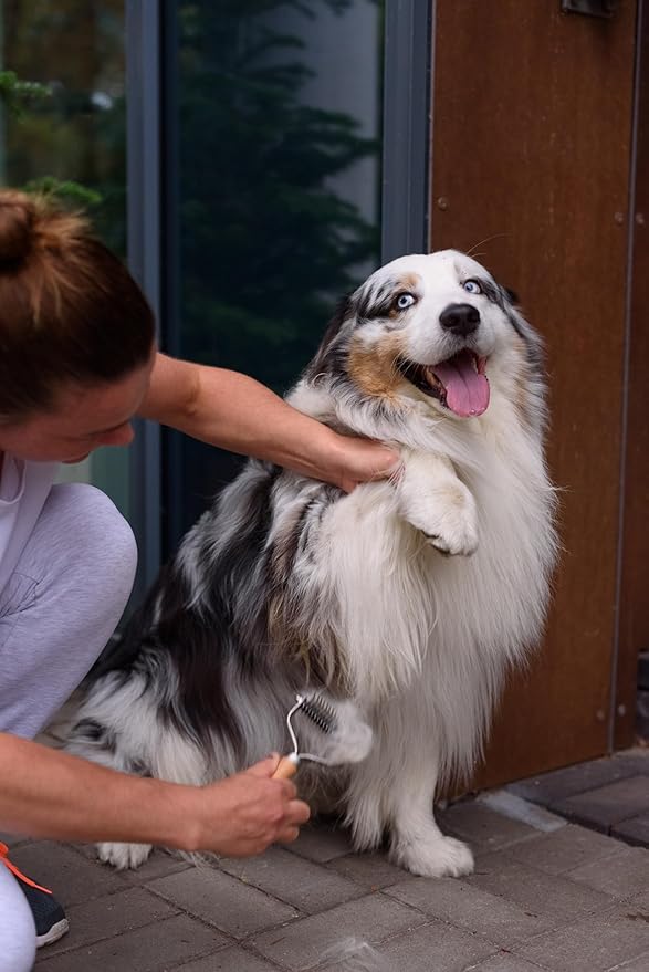 Shedding Tool – Undercoat Rake and Deshedding Brush for Pets, Detangling Brush, Grooming Comb, Cat Brush, Dog brush for Shedding LTANIOLAK