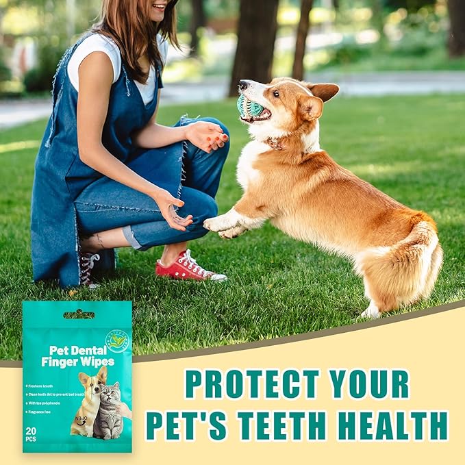 Portable Dog Teeth Dental Finger Wipes for Dogs & Cats No-Rinse Dog Finger Toothbrush Dog Plaque & Tartar Prevention with Brushing Beads Dog Breath Freshene 20pcs