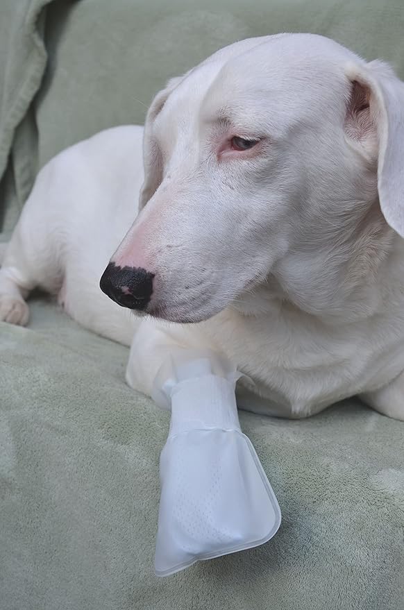 Outdoor Water Proof Cover. Slides Over MediMitts for Dogs paw (which are Sold Separately) Fastens with Medimitt Strap. Useful for hot Spots, Allergies and More. Value 20pack (Medium)