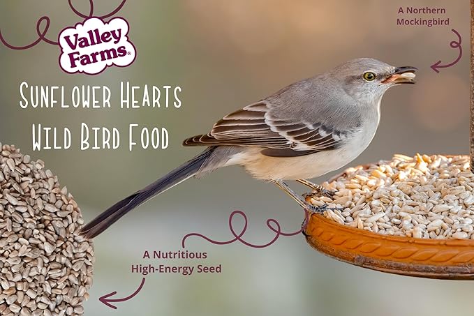 Valley Farms Whole Sunflower Hearts for Birds, Girasol Kernels Wild Bird Food, No Mess Wild Bird Seed for Outside Feeders (4 LBS)