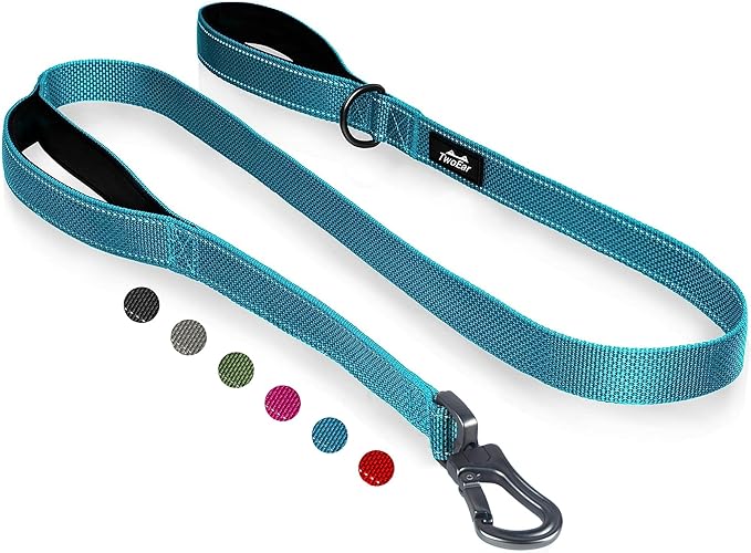 TwoEar 5FT 1IN Strong Blue Dog Leash with 2 Padded Handles, Traffic Handle Extra Control, Comfortable Soft Dual Handle, Auto Lock Hook, Reflective Walking Lead for Small Medium and Large Dogs