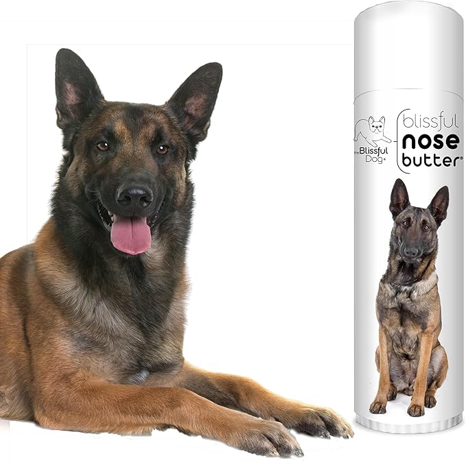 The Blissful Dog Belgian Malinois Nose Butter for Dry, Cracked Skin, Lick-Safe Dog Nose Balm with Moisturizing Shea Butter, Almond, Olive, and Essential Oils, Pet Supplies, Uncented, 0.50 oz.