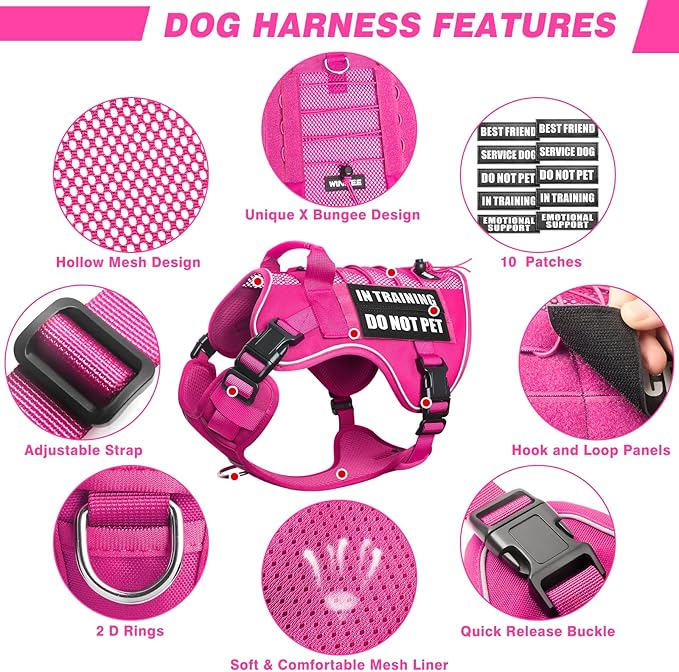 WINSEE Service Dog in Training Mesh Harness with 10 Pet Patches, Soft Air Mesh Breathable Tactical Dog Molle Vest, Reflective Military Pet Vest for Walking Hiking for Large Dogs