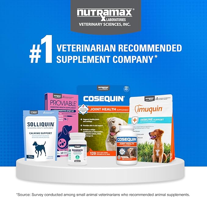 Nutramax Cosequin for Dogs Joint Health Supplement, Contains Glucosamine for Dogs, Plus Chondroitin and MSM, Supports Healthy Joints, Chewable Tablets, 250 Count