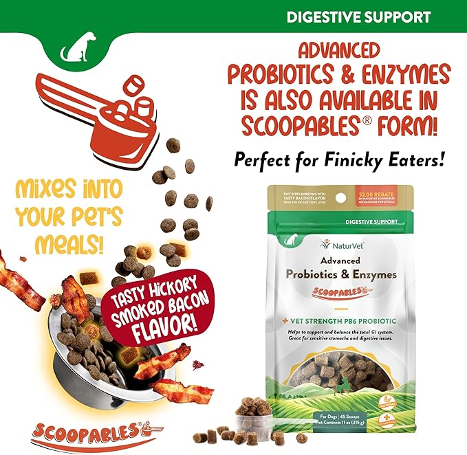 NaturVet Advanced Probiotics & Enzymes, PB6 Dog Soft Chews to Help Sensitive Stomachs and Digestive Issues, Hickory Smoked Bacon Flavored Pet Supplement for Dogs Over 6 Weeks, 70 Count Jar