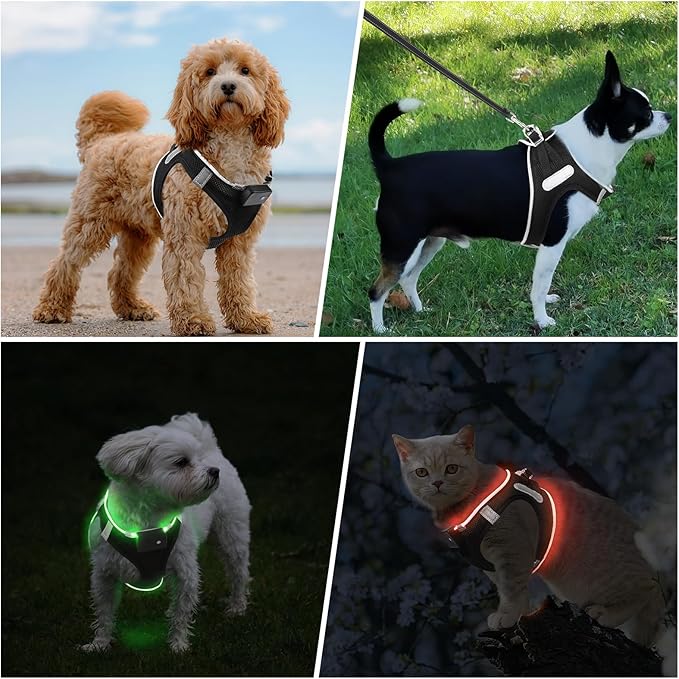 PceoTllar Light Up Dog Harness, LED No Pull Reflective Dog Harness, Flashing Lighted for Night Walking - Small/Medium, (Black Green,s)