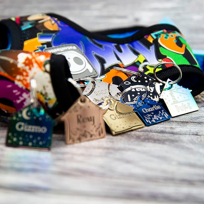 Personalized Dog Tag with 5 Lines of Custom Deep Engraved Durable Stainless Steel Pet ID Name Tag Designer Small Size House