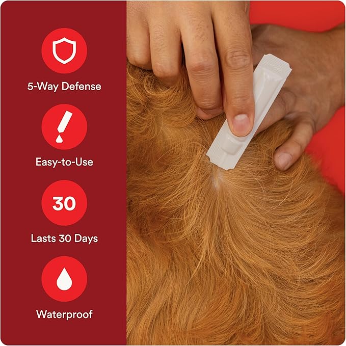 Ultra Flea and Tick Prevention for Dogs - Dog and Puppy Treatment and Control - Mosquito Repellent - XL, Fast Acting Waterproof Topical Drops, 2 Month Supply