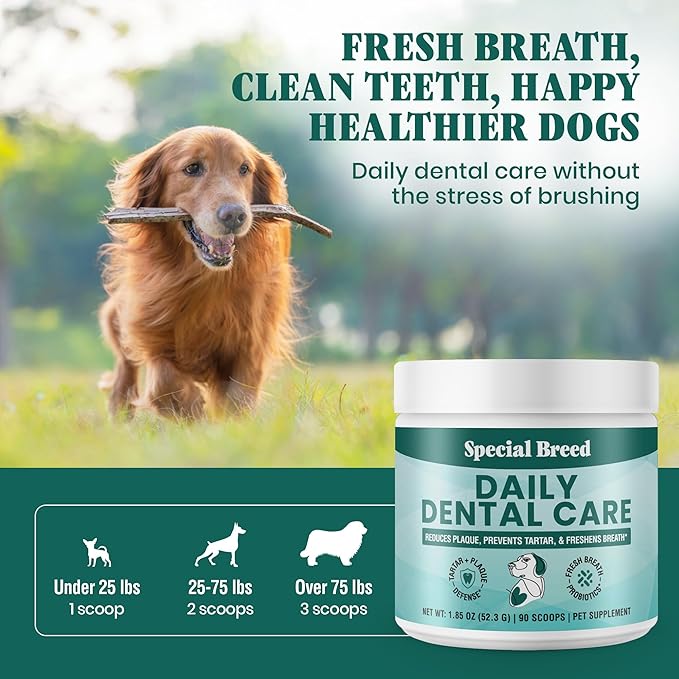 Dog Teeth Cleaning Powder – Natural Dog Dental Powder for Tartar Control, Fresh Breath & Gum Health – Daily Plaque Remover with Zeolite, Brown Algae, Probiotics & Rosemary – 90 Scoops