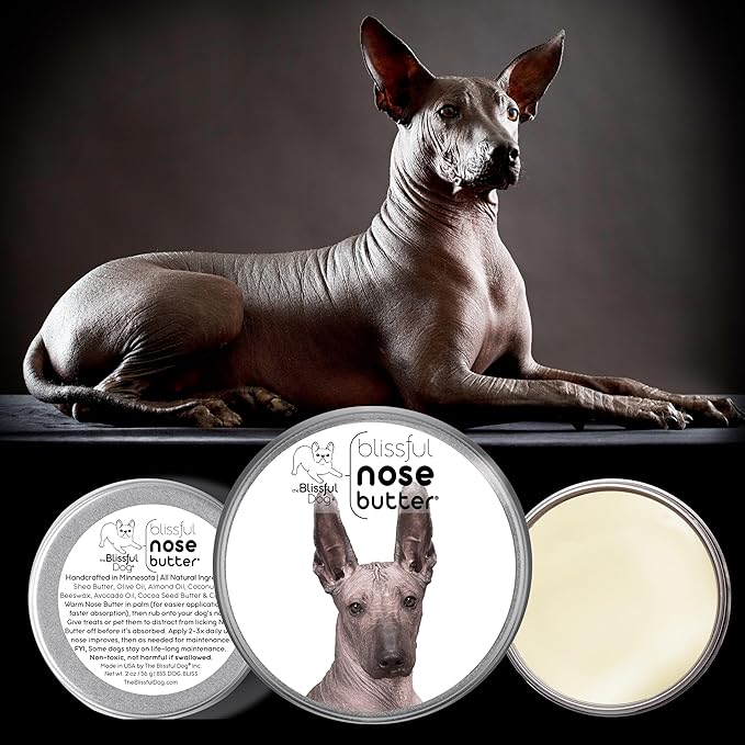 The Blissful Dog Xoloitzcuintli Nose Butter for Dry, Cracked Skin, Lick-Safe Dog Nose Balm with Moisturizing Shea Butter, Almond, Olive, and Essential Oils, Pet Supplies, Uncented, 2 oz.