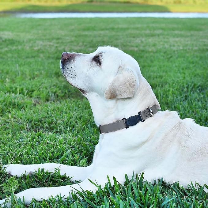 Dogline Biothane Waterproof Dog Collar with Herm Sprenger Black Stainless Steel Quick Release Buckle – Heavy Duty Tactical Durable Collar for Dogs – Comfortable and Safe Pet Collar W3/4" L12-19 Gray