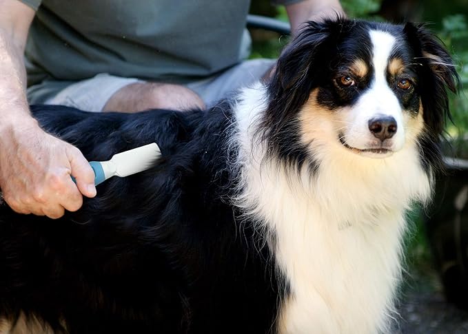 Pet Mat Remover Easily removes Mats Professionally from your DOGS & CATS and Straightens Tuft & Knotted Pet hair. Extremely Gentle on pets, works on Sensitive Skin too! Blue