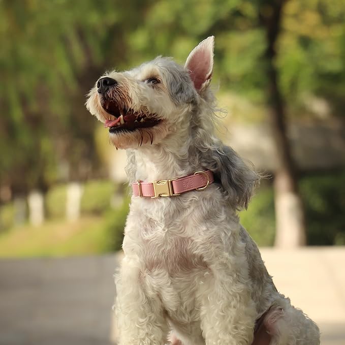 PET ARTIST Soft PU Leather Dog Collar, Bright & Classic Pink Dog Collar with Quick Release Rose Metal Buckle, Adjustable Nylon Padded Durable Pet Collars for Large Dogs Girl, Neck Fit 16-27"