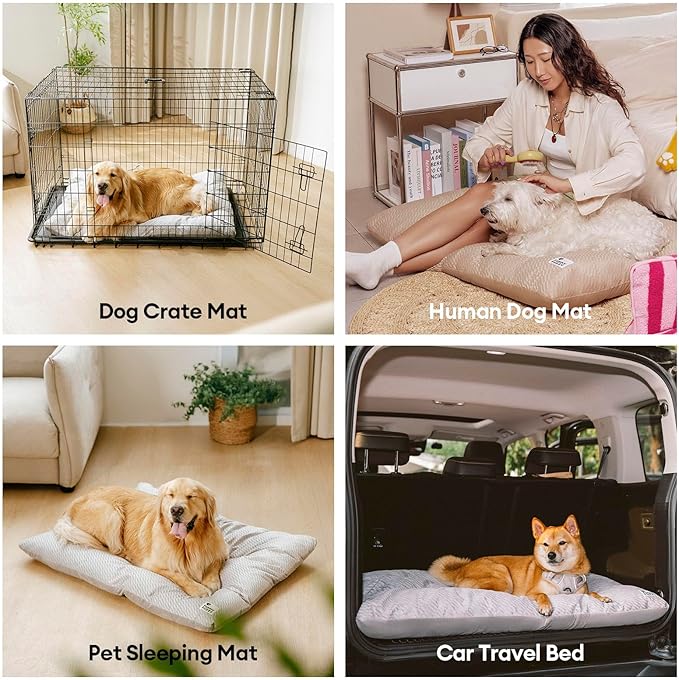 FUNNY FUZZY Washable Dog Bed,Reversible Plush Dog Crate Mat, Soft Fluffy Kennel Pad,Pet Sleeping Mattress for Large,Jumbo,Medium Sized Dogs Breeds,Indoor Cats,41.7" × 28.3", Light Grey