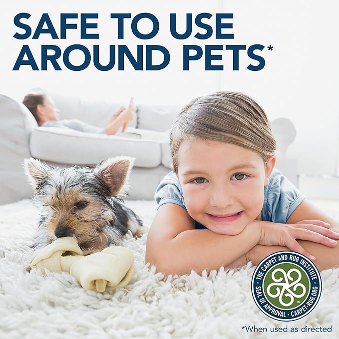 Simple Solution Stain & Odor Eliminator for Pets, Carpet Deodorizer, Enzyme Pet Odor Eliminator for Home, Stain Remover for Cat & Dog Pee, Urine Destroyer, Carpet Cleaner Spray, Gallon