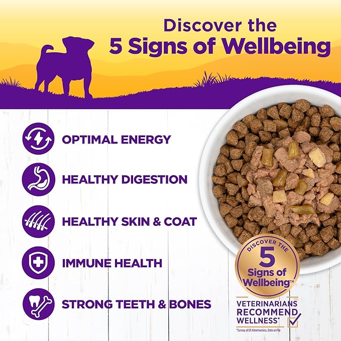 Wellness Petite Entrees Mini Fillets Natural Wet Small Breed Dog Food, Tender Turkey, Green Beans & White Sweet Potato, 3-Ounce Cup (Pack of 24)