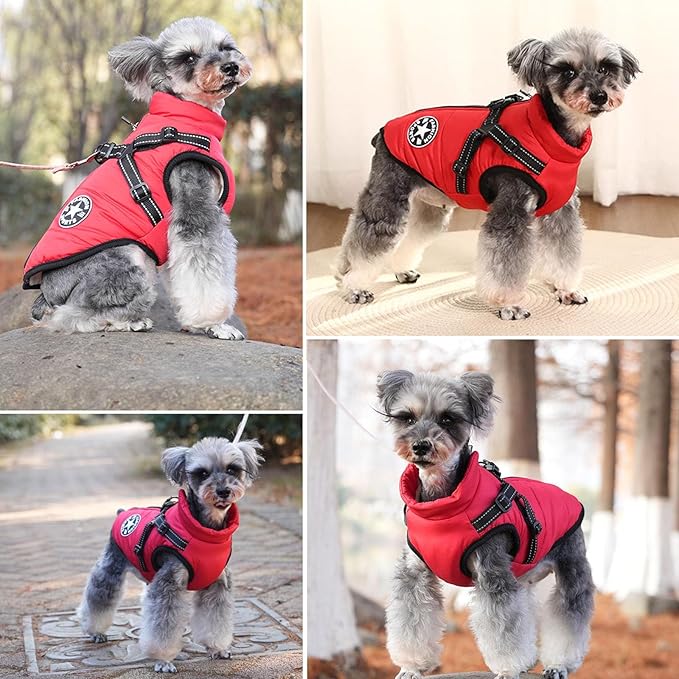 HDKUW Small Dog Jacket, Small Dog Coat Harness Winter Warm Vest Jacket Waterproof Cotton Costume for Puppy Small Dogs (M, Red)