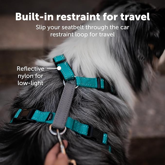 PetSafe 3 in 1 Dog Harness - No Pull Solution for Dogs - Reflective Dog Harness - Front D-Ring Clip Helps Stop Pulling - Comfortable Padded Straps - Top Handle Enhances Control - Black - Medium