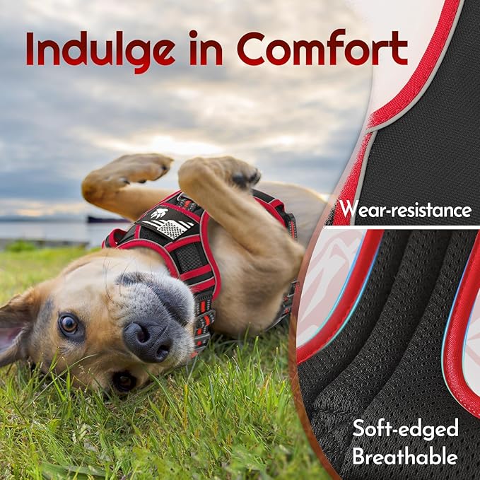 Eagloo Dog Harness Small Sized, Easy Wearing with 3 Buckles, Adjustable No Pull Pet Harness with 2 Rings for Walking, No Chock Reflective Soft Padded Vest with Control Handle, Black & Red, S