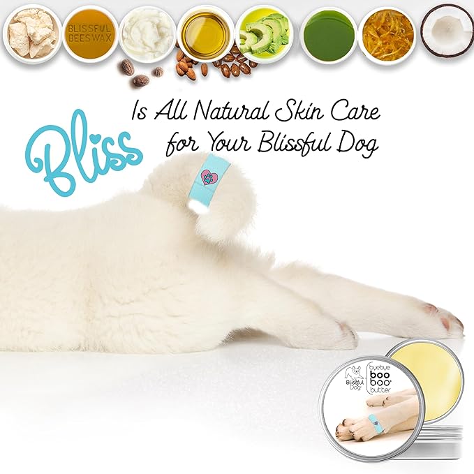The Blissful Dog Boo Boo Butter for Your Dog's Discomforts, 4-Ounce