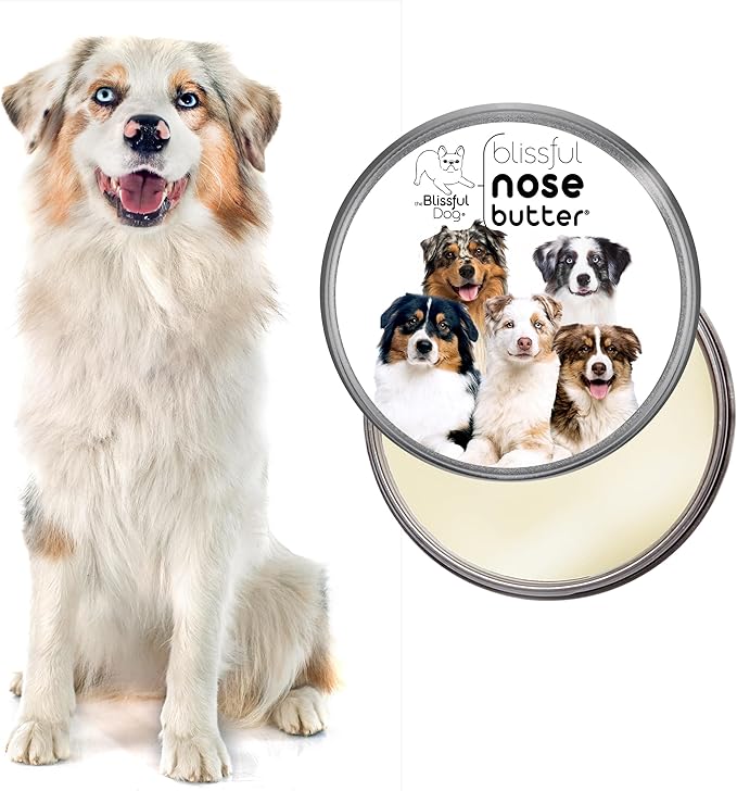 The Blissful Dog Australian Shepherd Nose Butter for Dry, Cracked Skin, Lick-Safe Dog Nose Balm with Moisturizing Shea Butter, Almond, Olive, and Essential Oils, Pet Supplies, Uncented, 8 oz.