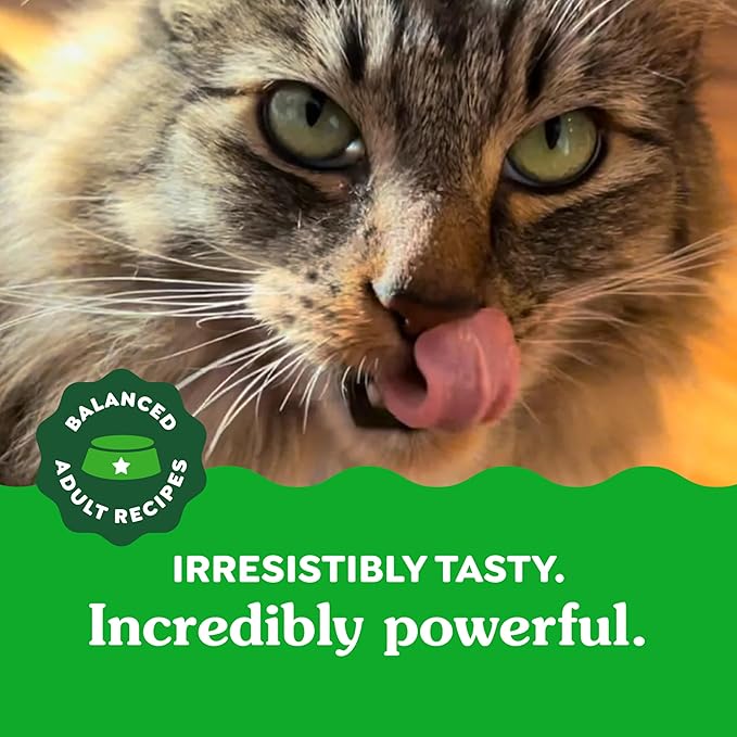 Greenies Feline Adult Dental Cat Treats, Catnip Flavor, 9.75 oz. Tub