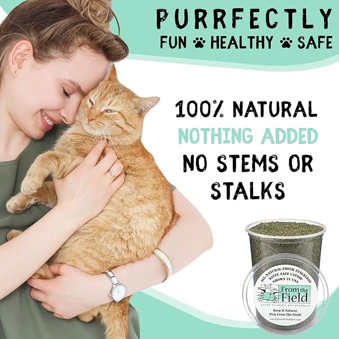 from The Field | Fine Ground Stalkless Catnip | Premium USA-Grown Catnip for Toys & Playtime | Fresh, Potent, Non-Toxic, Eco-Friendly | Safe for Kittens & Cats | Resealable 1 oz Can